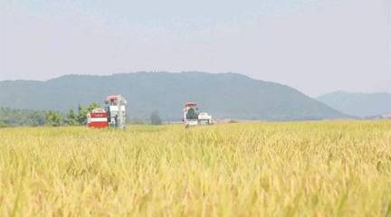 政策東風(fēng)至，農(nóng)機(jī)企業(yè)迎轉(zhuǎn)機(jī) 聚焦農(nóng)業(yè)生產(chǎn)托管服務(wù)的六大戰(zhàn)略機(jī)遇