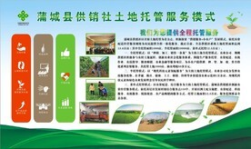 農業托管服務 從概念到實踐的全方位視覺指南與資源寶庫