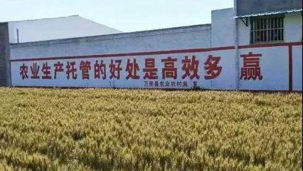 農(nóng)業(yè)托管模式再啟新篇 45億補(bǔ)貼落地，六成紅利直抵農(nóng)民腰包
