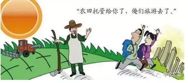 農(nóng)村土地托管合作社實(shí)操指南與收益解析