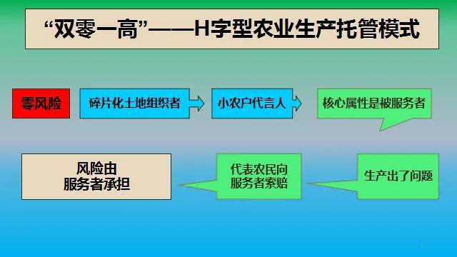造血式鄉(xiāng)村振興 農(nóng)業(yè)生產(chǎn)托管服務(wù)的創(chuàng)新路徑與實(shí)踐探索
